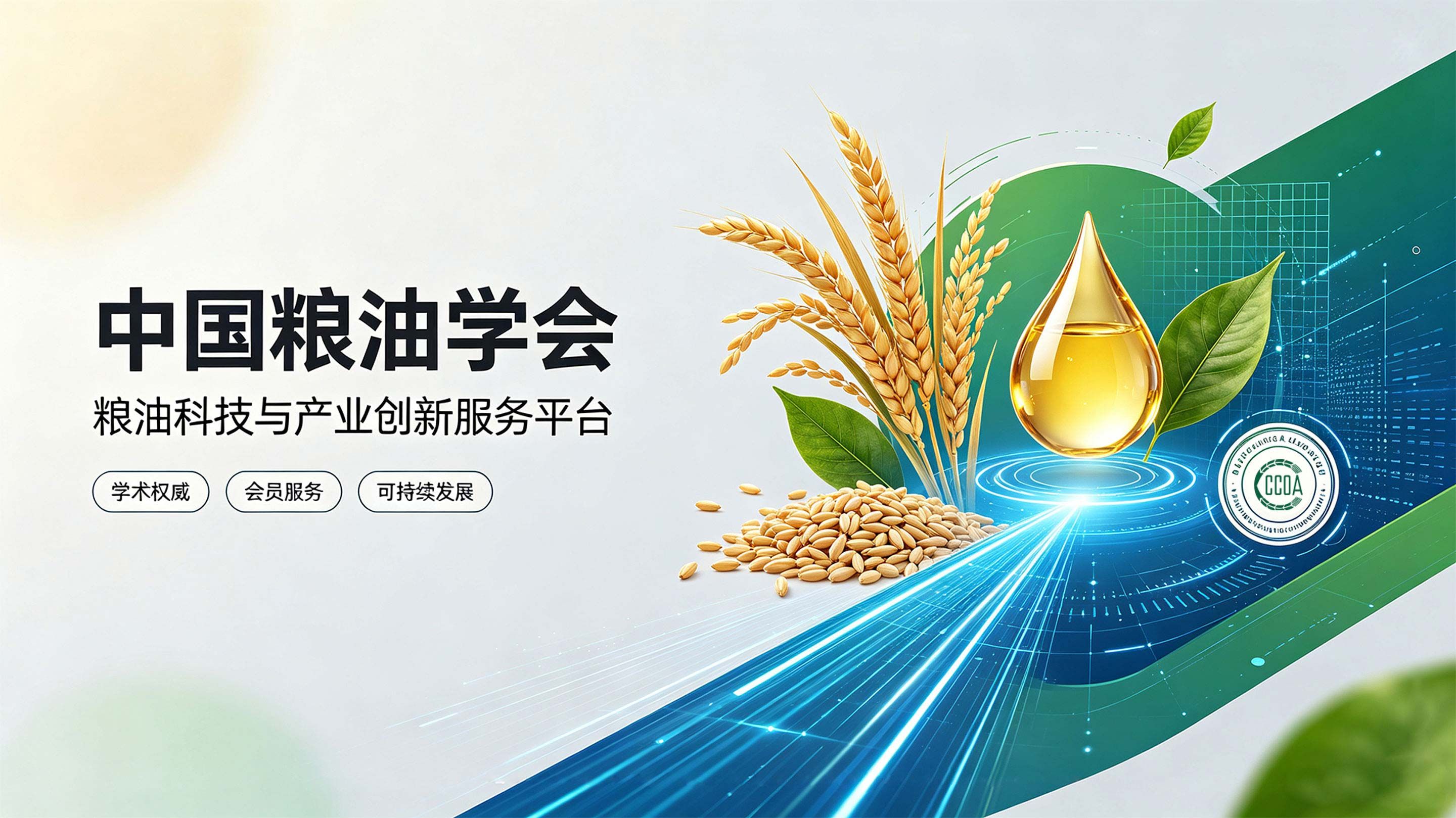 轮播一